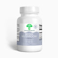 Lion's Mane Mushroom - ShroomHealth
