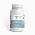 Chaga Mushroom - ShroomHealth