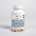 Chaga Mushroom - ShroomHealth