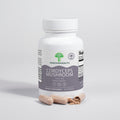 Cordyceps Mushroom - ShroomHealth