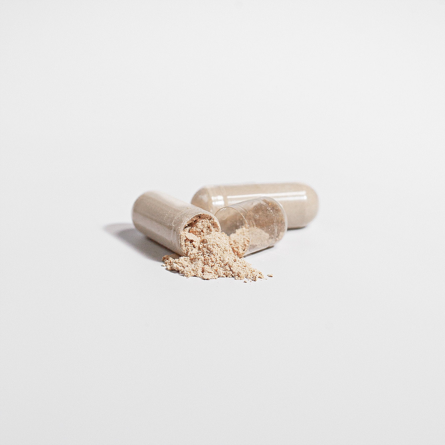 Cordyceps Mushroom - ShroomHealth