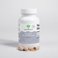 Reishi Mushroom - ShroomHealth